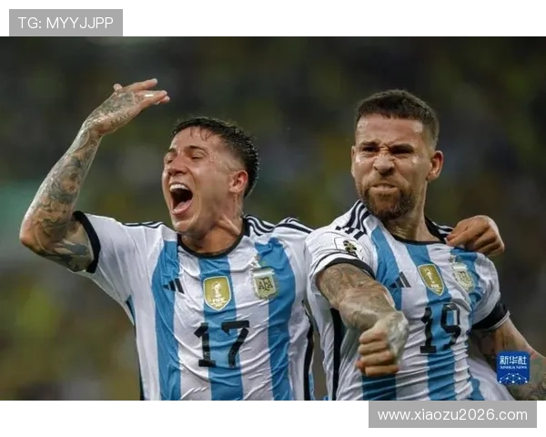 2026世界杯预选赛南美区裁判执法标准与比赛公正性保障措施