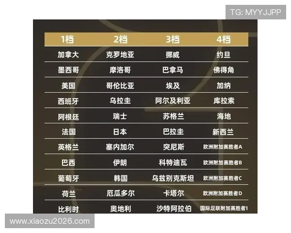 2026年世界杯48支球队参赛对东道主国家足球水平提升的积极作用