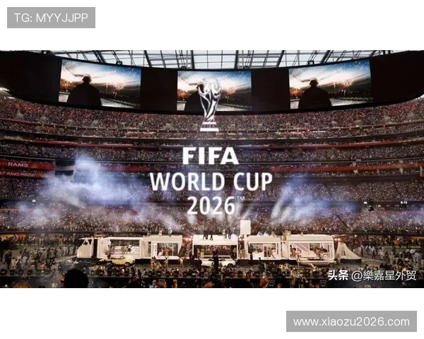 2026年世界杯足球赛历史回顾与未来发展趋势，足球文化的全球盛宴