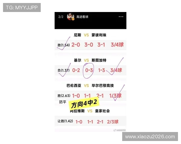 世界杯赔率高的冷门有哪些值得关注的球队和比赛分析