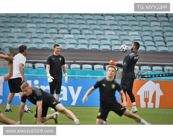 关注欧洲区世界杯预选赛焦点战，赛场上的战术变化与精彩瞬间回顾