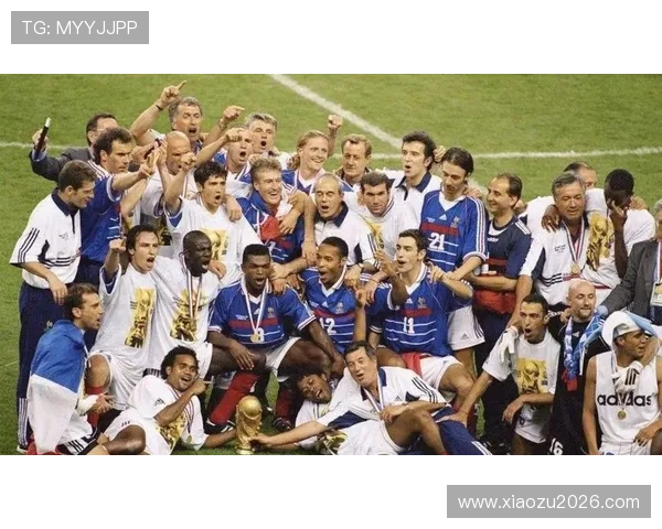 2023年世界杯法国队阵容分析与战术解析,助你深入了解法国队的核心实力