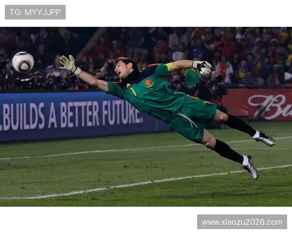 南非世界杯决赛精彩瞬间回顾与比赛亮点分析 南非世界杯决赛精彩瞬间回顾与比赛亮点分析