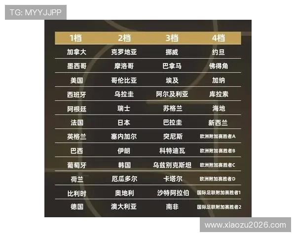 法国队在2026年世界杯已出线名单中排名情况及未来比赛展望