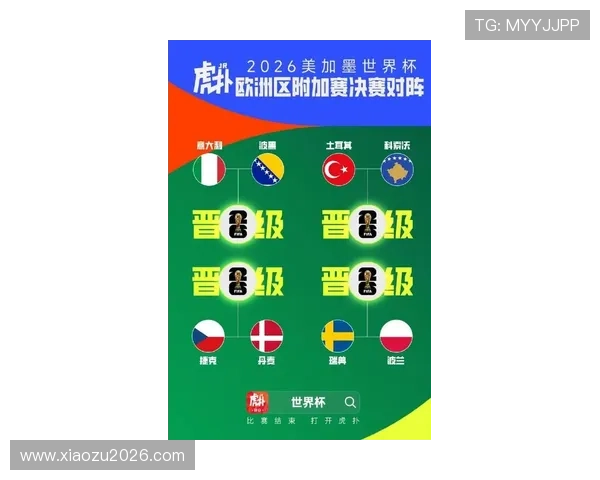 欧洲赛区世界杯预选赛积分榜最新动态，揭示各队晋级形势与关键比赛影响因素