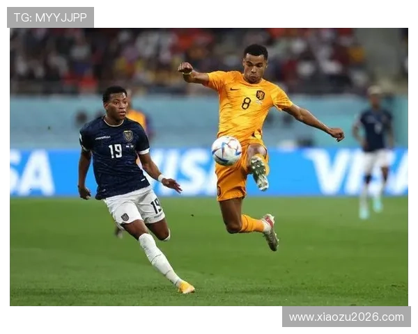 田径世界杯每几年一次的官方规定与赛事时间安排详解