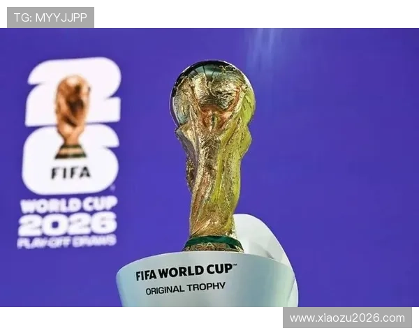2026年世界杯参赛球队详细名单及最新预测分析