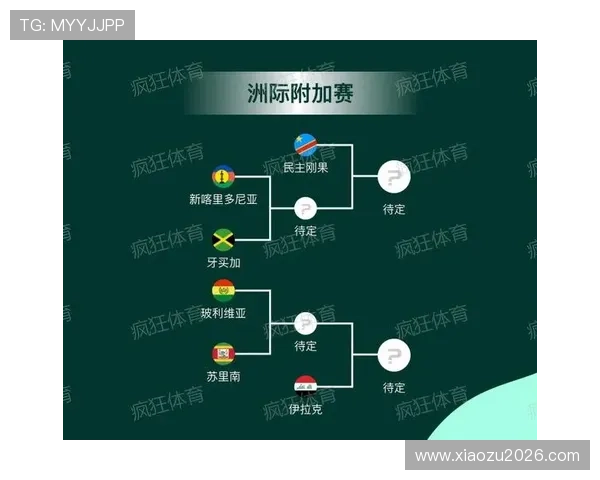 2026年非洲区世界杯预选赛分组对阵分析，关注各队实力与潜在晋级机会