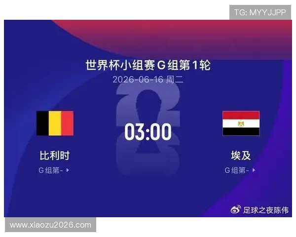 2026年世界杯比利时埃及比赛交通攻略及公共交通出行指南全解读