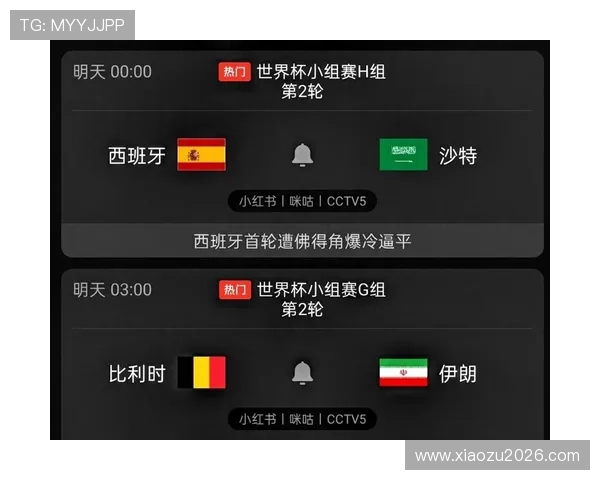 世界杯西班牙对阵沙特比赛中犯规数详细统计与分析